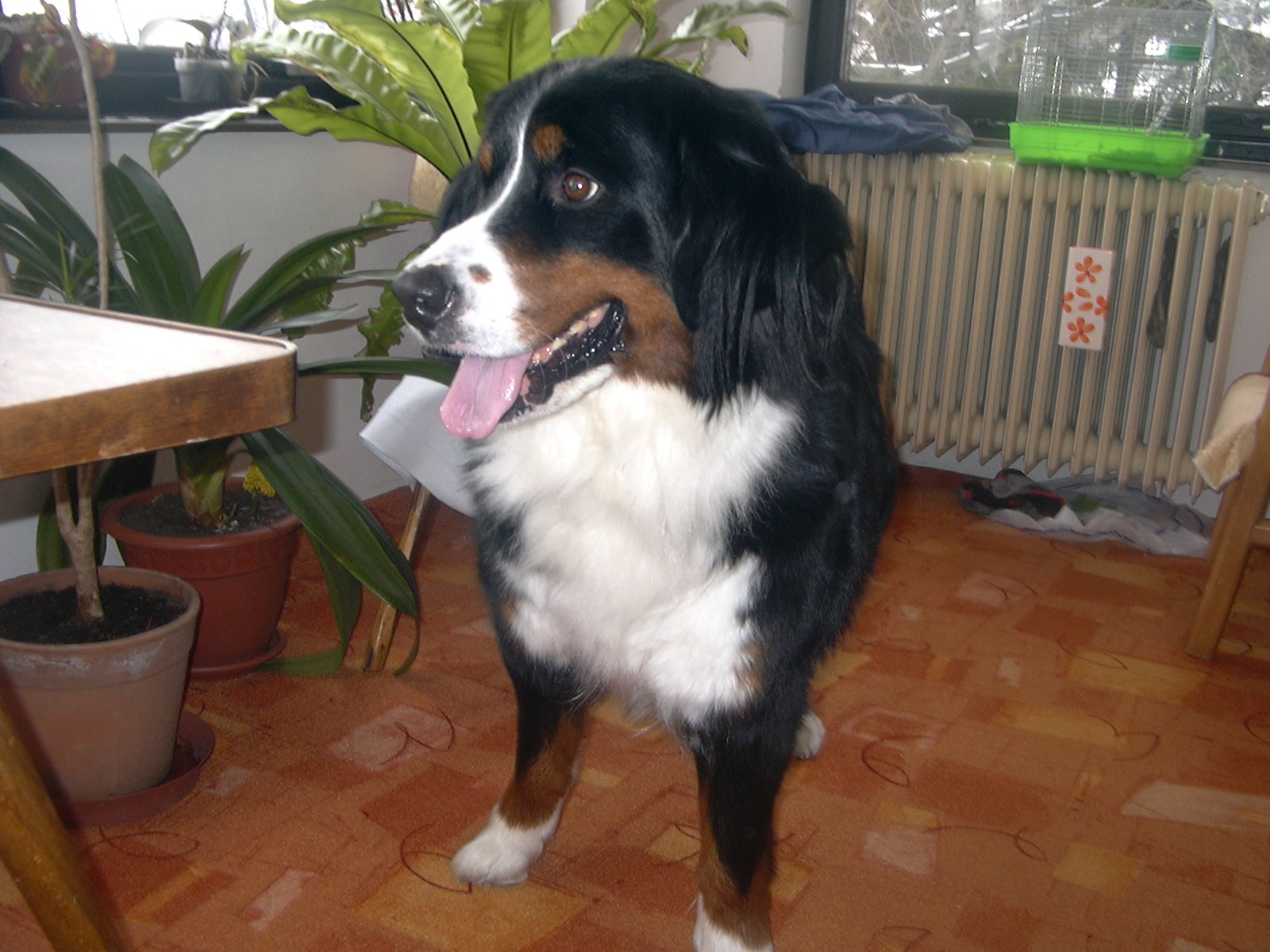 P1000650.JPG