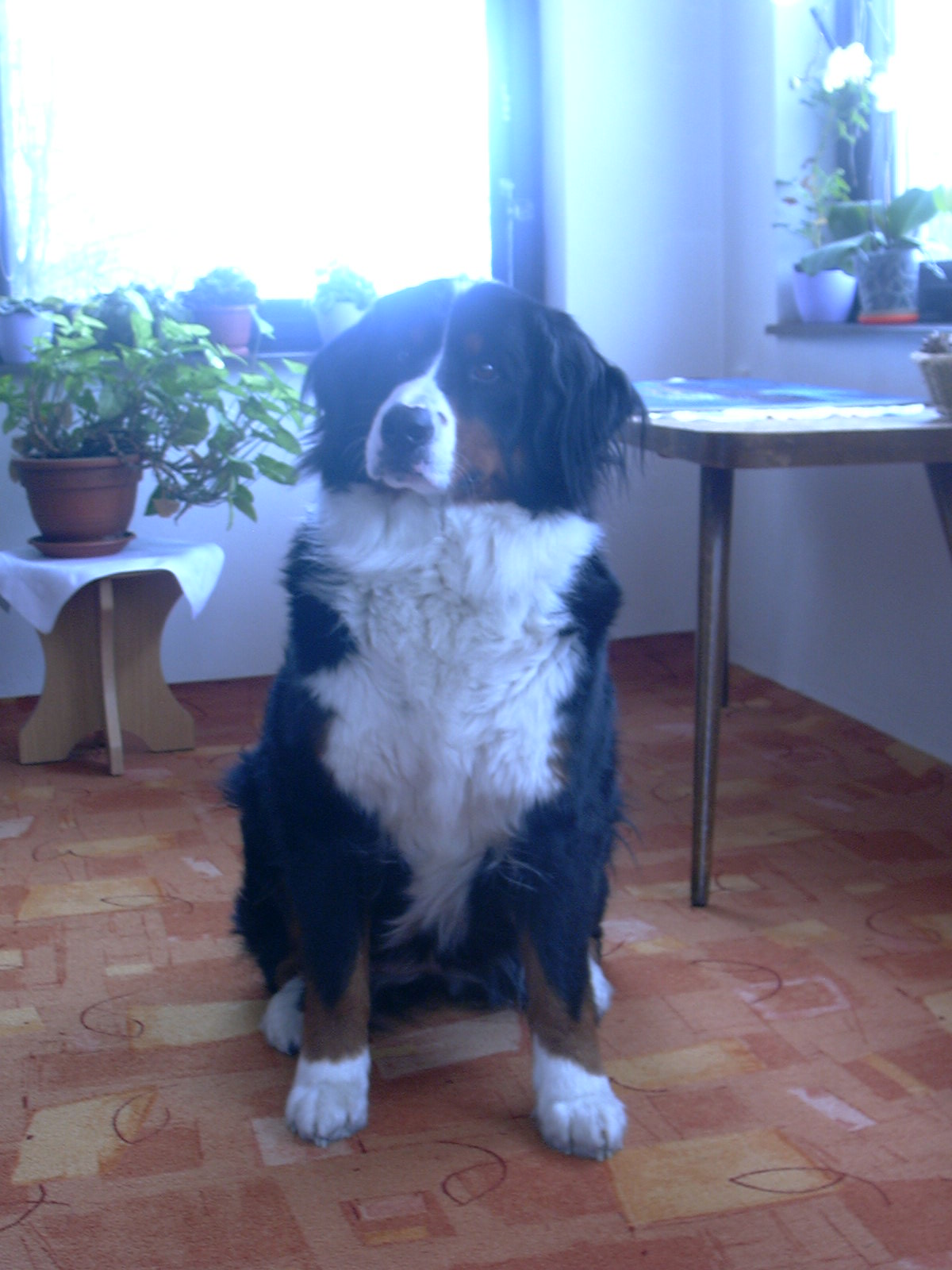 P1000657.JPG