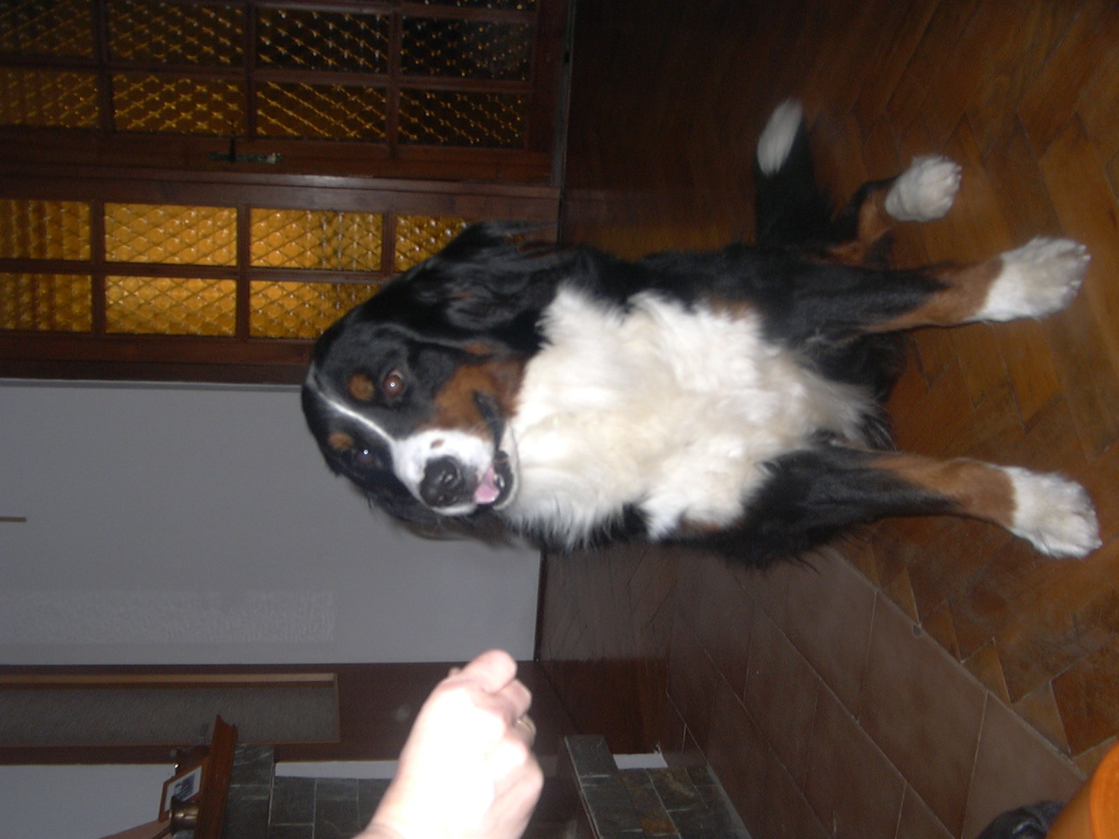 P1000642.JPG