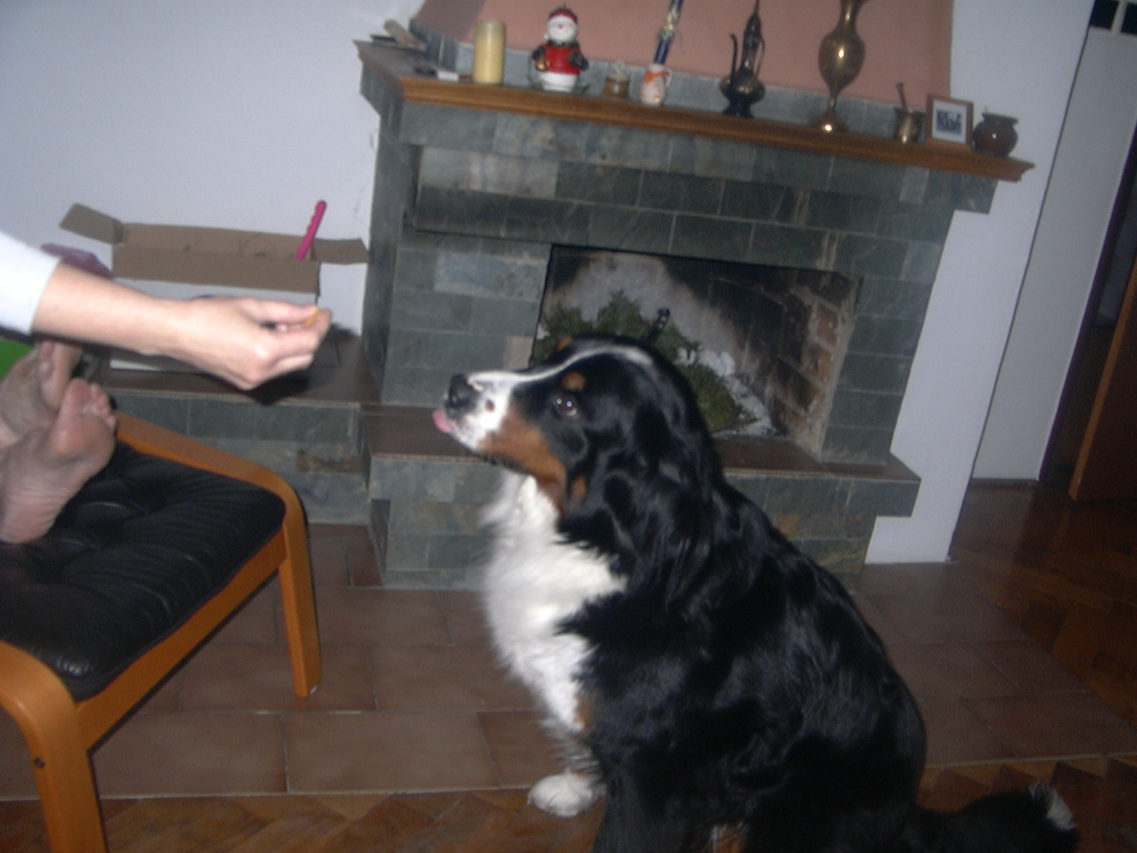 P1000643.JPG
